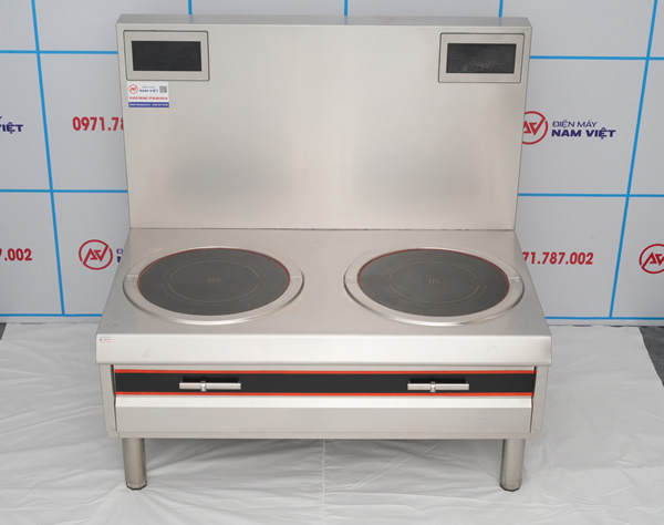 Hình ảnh thực tế bếp từ công nghiệp đôi mặt phẳng